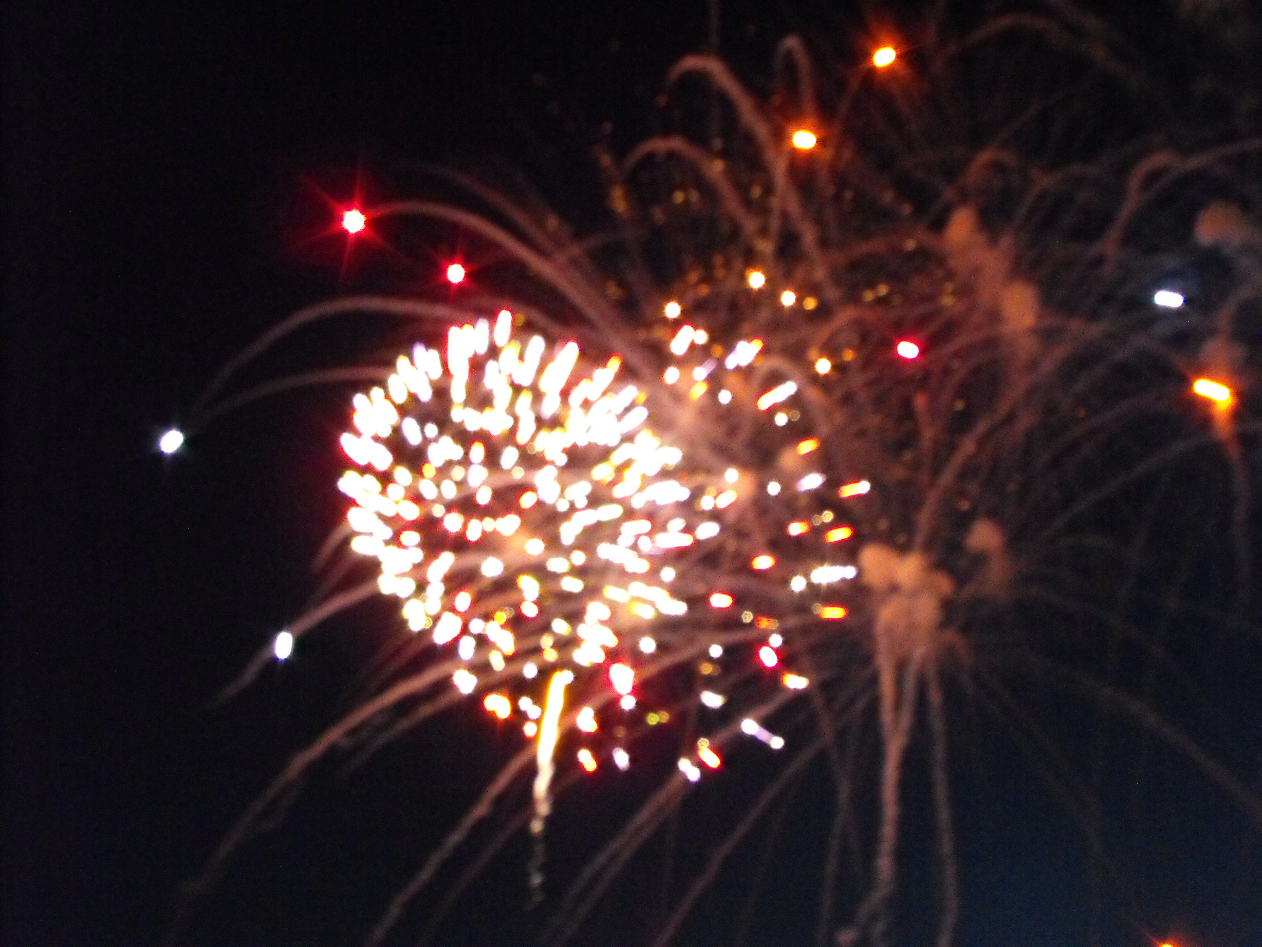 ./2010/Fourth of July/4th July Fireworks Wilm 0017.JPG